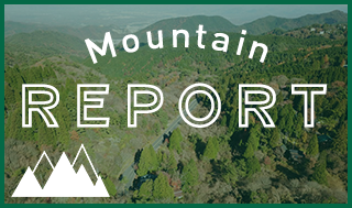 Mountain Report