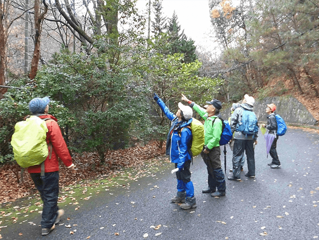 Mountain Guide Association