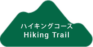 ハイキングコース