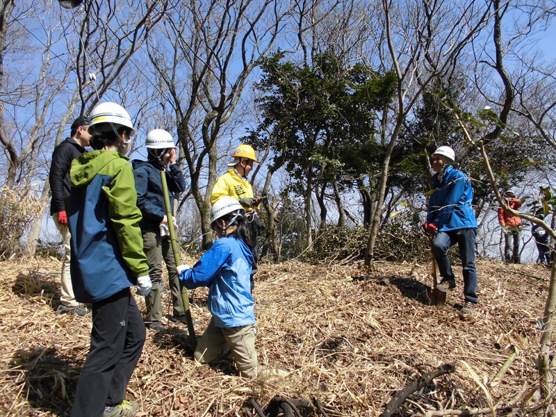 植樹により六甲山の緑を守る活動