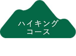 ハイキングコース