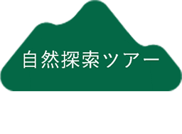 自然探索ツアー