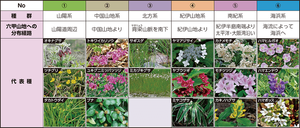六甲山地の植物相を構成する6系統